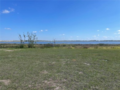 Lake Lot For Sale in Lake Alfred, Florida