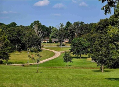 (private lake, pond, coastal) Home For Sale in Ben Wheeler Texas