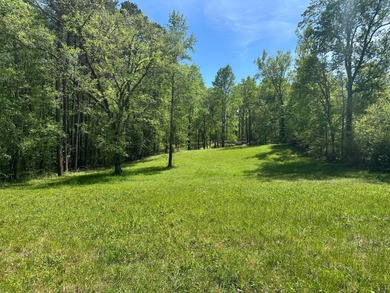 2.58 acres located in a prime location near Paris Landing State - photo 3