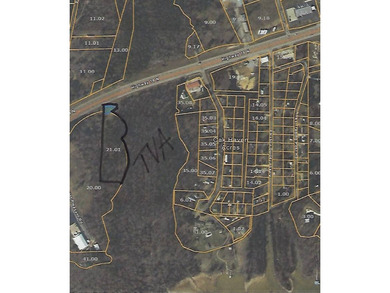 2.58 acres located in a prime location near Paris Landing State - photo 4