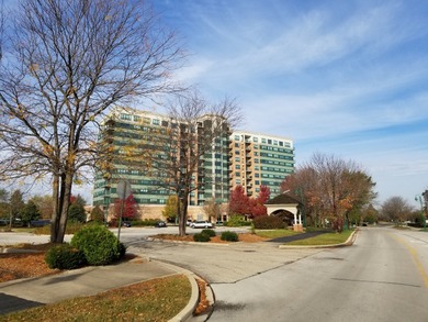 Four Lakes Condo For Sale in Woodridge Illinois