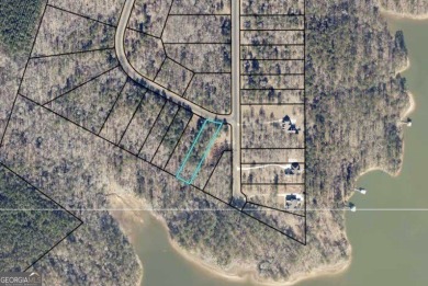 Lake Lot For Sale in Tignall, Georgia