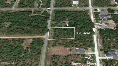 BUILD YOUR DREAM HOME on this BUILDABLE 0.26-ACRE LOT in the - photo 6
