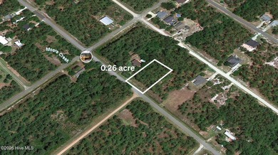 BUILD YOUR DREAM HOME on this BUILDABLE 0.26-ACRE LOT in the - photo 8