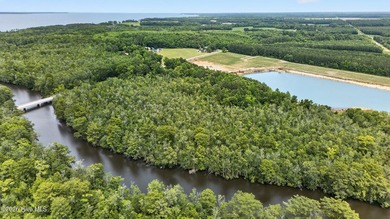 Recreational waterfront tract consisting of approximately 10.53 - photo 8