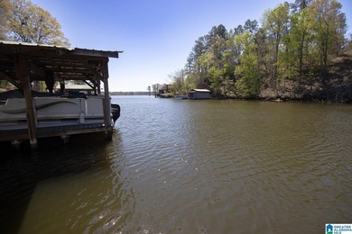Right on the water!! You can fish from the living room window - photo 21