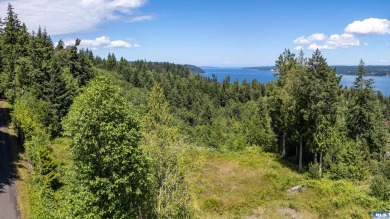  Lot For Sale in Quilcene Washington