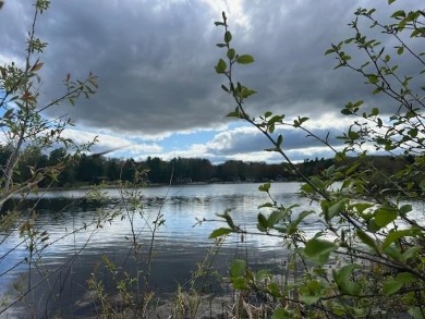 Lake Lot For Sale in Harrison, Michigan