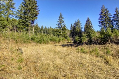 Home shown in pictures is an example of what could be built here - photo 37