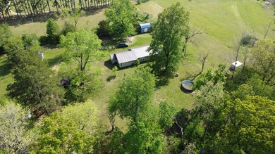 Escape to the Ozarks with this charming 3-bed, 2-bath vacation - photo 38