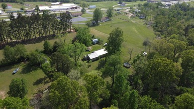 Escape to the Ozarks with this charming 3-bed, 2-bath vacation - photo 39