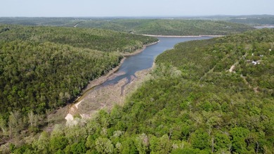 Escape to the Ozarks with this charming 3-bed, 2-bath vacation - photo 40