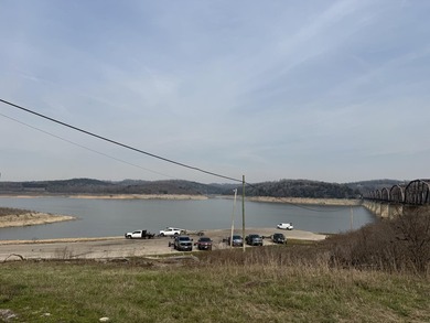 Escape to the Ozarks with this charming 3-bed, 2-bath vacation - photo 43