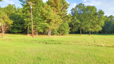 BAYOU RIVER RUN - Perfect Getaway - photo 5