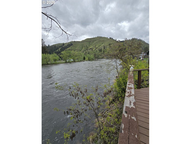 Have you ever dreamt of a Utopia right on the River?? Experience - photo 22