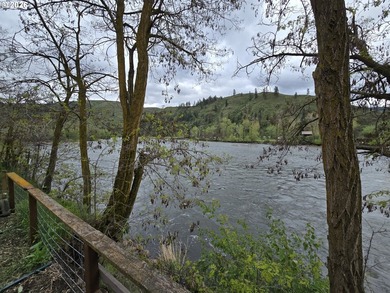 Have you ever dreamt of a Utopia right on the River?? Experience - photo 24