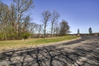 LAKE & MOUNTAIN VIEWS on large lot (.75 acres). Beautiful