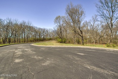 LAKE & MOUNTAIN VIEWS on large lot (.75 acres). Beautiful