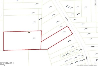 This three-parcel assemblage sits in one of Wilmington's - photo 3
