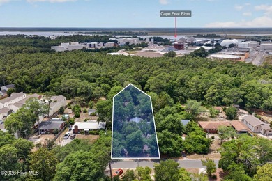 This three-parcel assemblage sits in one of Wilmington's - photo 4