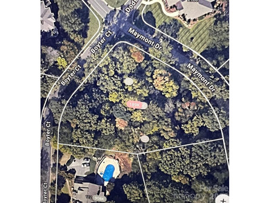 This beautiful large wooded lot is located in a desirable - photo 1