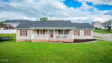 Lake Home For Sale in Bluff City, Tennessee