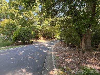 This beautiful large wooded lot is located in a desirable - photo 2