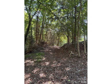This beautiful large wooded lot is located in a desirable - photo 3