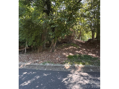 This beautiful large wooded lot is located in a desirable - photo 4