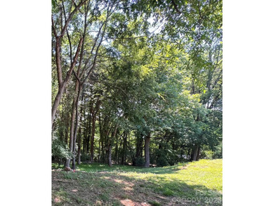 This beautiful large wooded lot is located in a desirable - photo 5