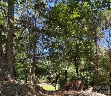 This beautiful large wooded lot is located in a desirable - photo 6