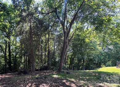 This beautiful large wooded lot is located in a desirable - photo 7
