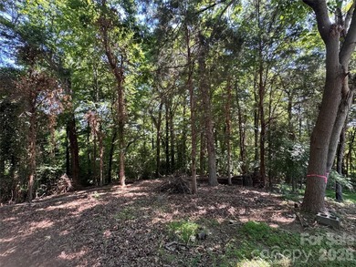 This beautiful large wooded lot is located in a desirable - photo 8
