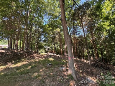 This beautiful large wooded lot is located in a desirable - photo 9