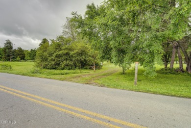 Lake Lot For Sale in Elizabethton, Tennessee
