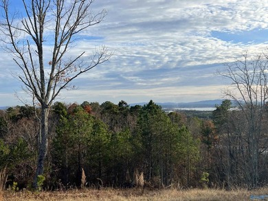 Fabulous home site for your next newly constructed residence. An - photo 2