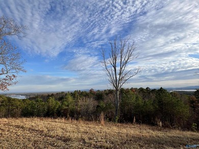 Fabulous home site for your next newly constructed residence. An - photo 3