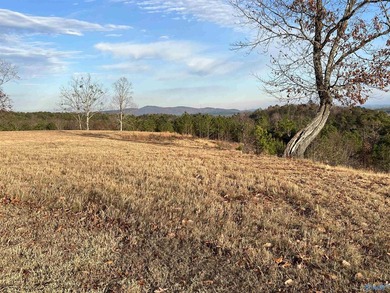 Fabulous home site for your next newly constructed residence. An - photo 4