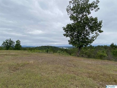 Fabulous home site for your next newly constructed residence. An - photo 10