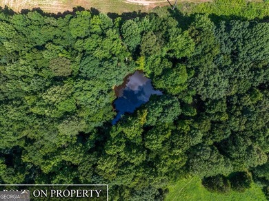 Come home to the perfect Country Retreat! Discover the perfect - photo 49