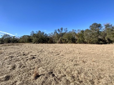 (private lake, pond, creek) Acreage For Sale in Madison Florida