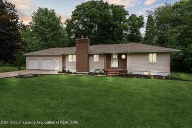 Lake Home For Sale in Eagle, Michigan