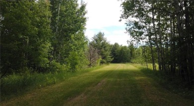 Lake Lot For Sale in Fawn Lake Twp, Minnesota