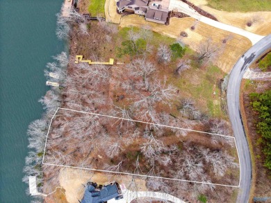 Lake Lot For Sale in Scottsboro, Alabama