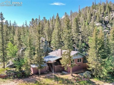 Lake Home For Sale in Lake George, Colorado