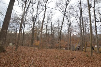 Sweetwater Lake Acreage SOLD! in Nineveh Indiana