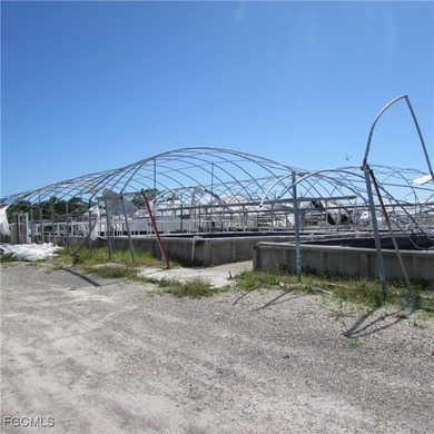 51 + Acres... Upland & Mangrove 50/50ish ... Land, & Buildings - photo 17