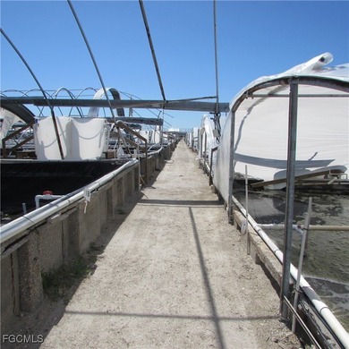 51 + Acres... Upland & Mangrove 50/50ish ... Land, & Buildings - photo 18