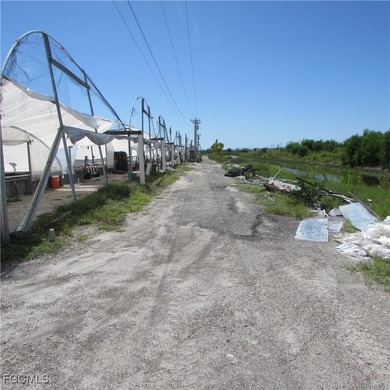 51 + Acres... Upland & Mangrove 50/50ish ... Land, & Buildings - photo 21