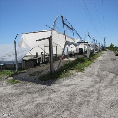 51 + Acres... Upland & Mangrove 50/50ish ... Land, & Buildings - photo 22